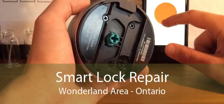 Smart Lock Repair Wonderland Area - Ontario