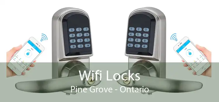 Wifi Locks Pine Grove - Ontario